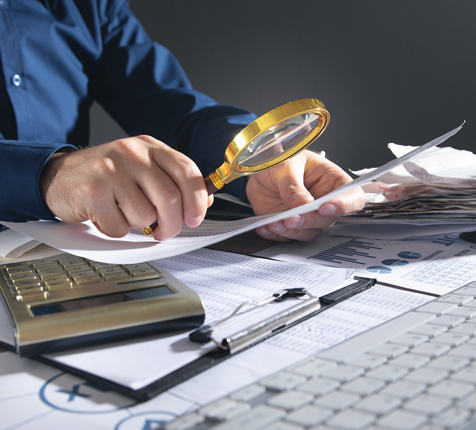 Özel Bağımsız Denetim